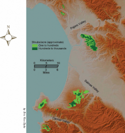 Global geographic distribution of Hooker's manzanita - colors indicate plant density. 