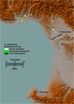 Distribution of Holocarpha macradenia. 