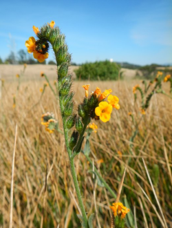 Photo taken in San Mateo County © 2014 Neal Kramer 