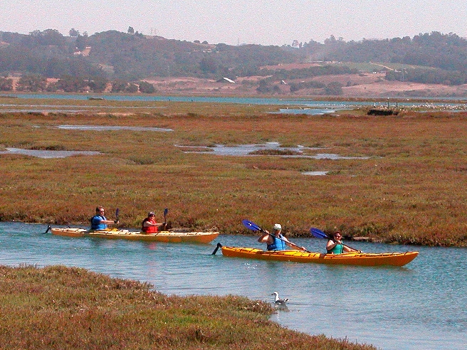 Managing Visitor Use in Coastal and Marine Protected Areas program image