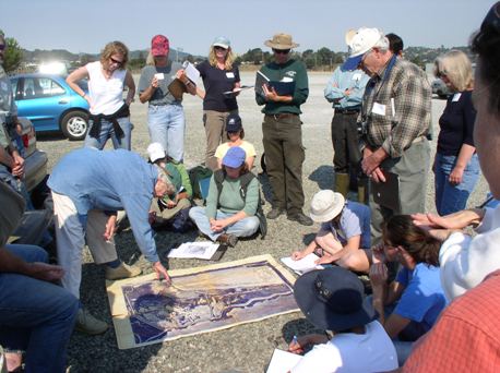 Tidal Wetland Restoration Field Trip:  Muzzi Marsh with Phyllis Faber program image