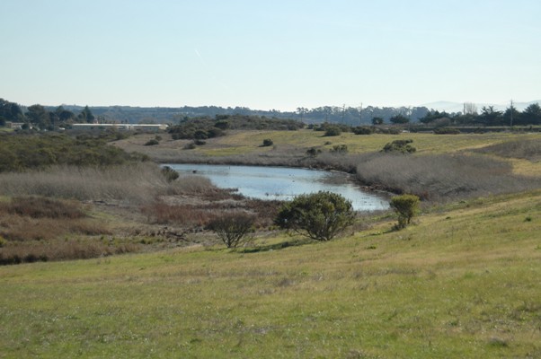 Jurisdictional Delineation of Waters of the U.S., Including Wetlands On the California Coast: Legal and Ecological Protocols For Diverse and Changing Landscapes program image