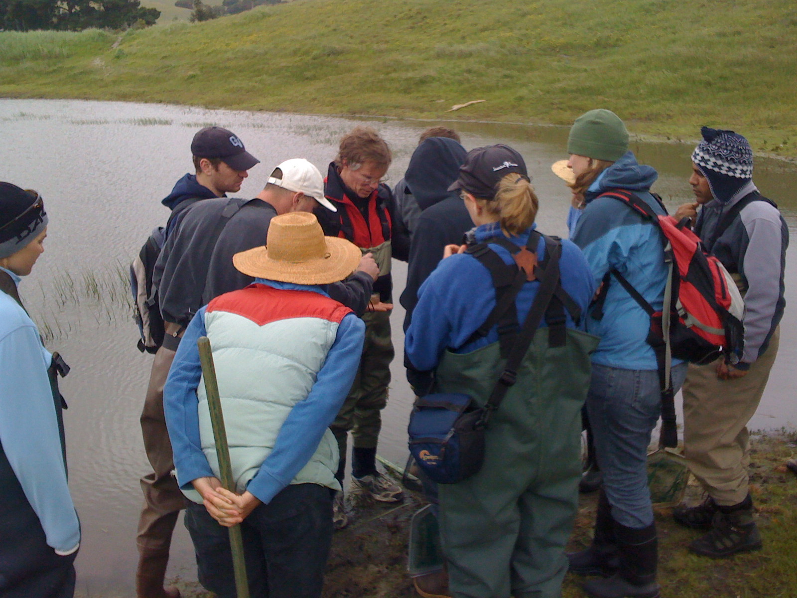 California Tiger Salamander Workshop 2010 program image