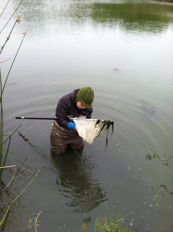 Managing Habitats for California Red-legged Frog Workshop 2013 program image