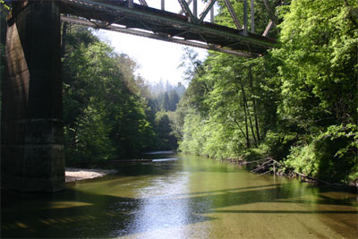 Analytical Approaches to Riparian Buffers for Wildlife program image