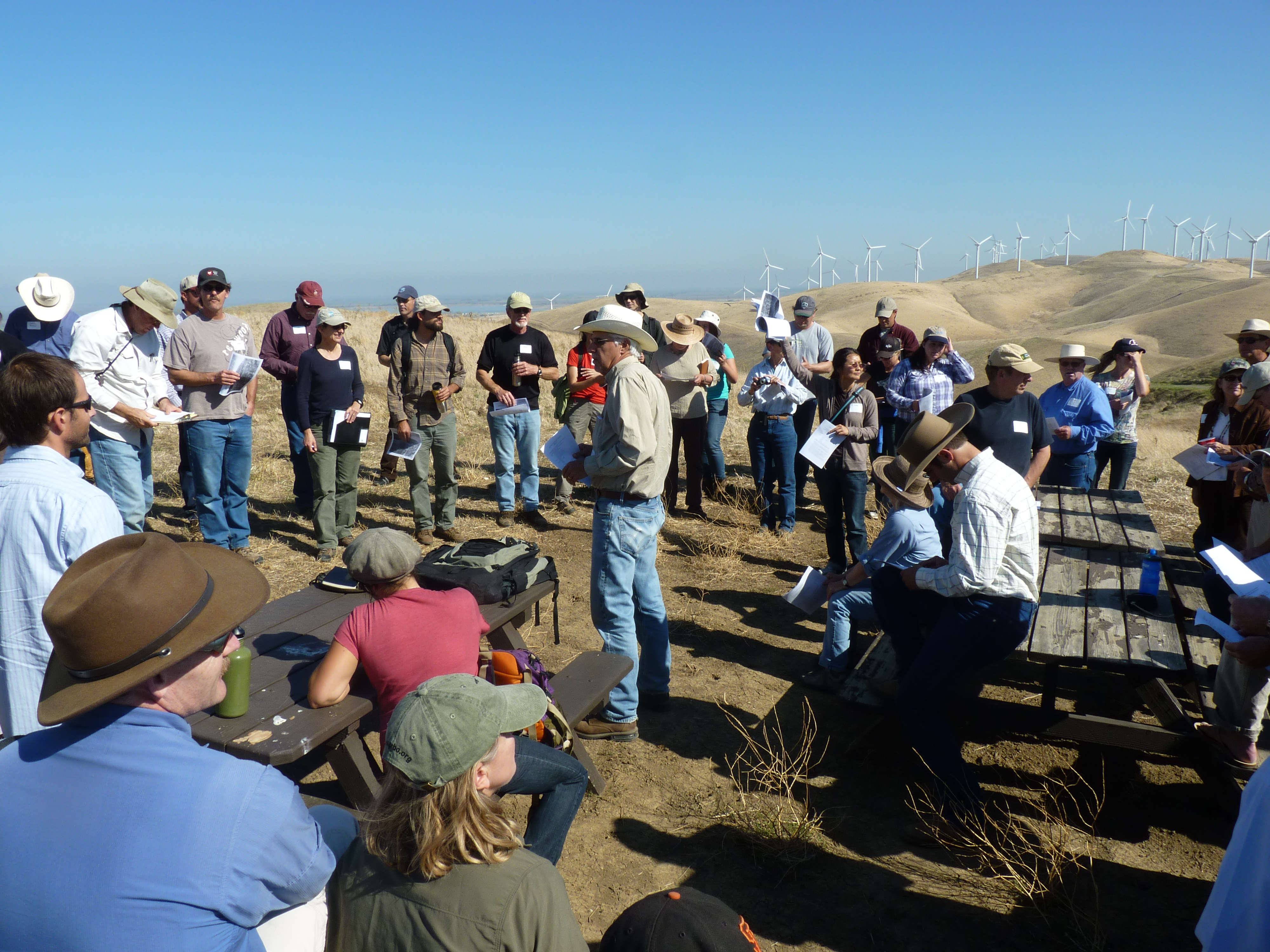 Grazing to Improve Habitat for Grassland Plants and Birds - Fall 2016 Membership Meeting of the Central Coast Rangeland Coalition program image