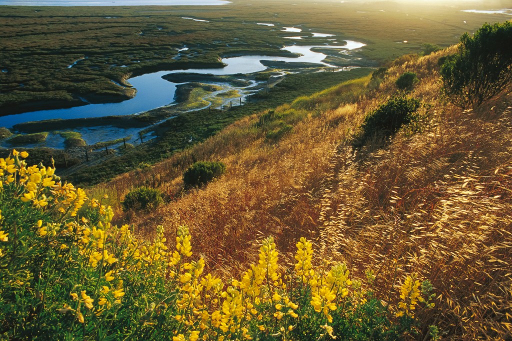 Elkhorn Slough Science Symposium program image